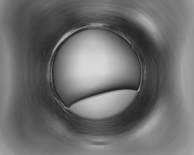 X0000116591052200912101328
