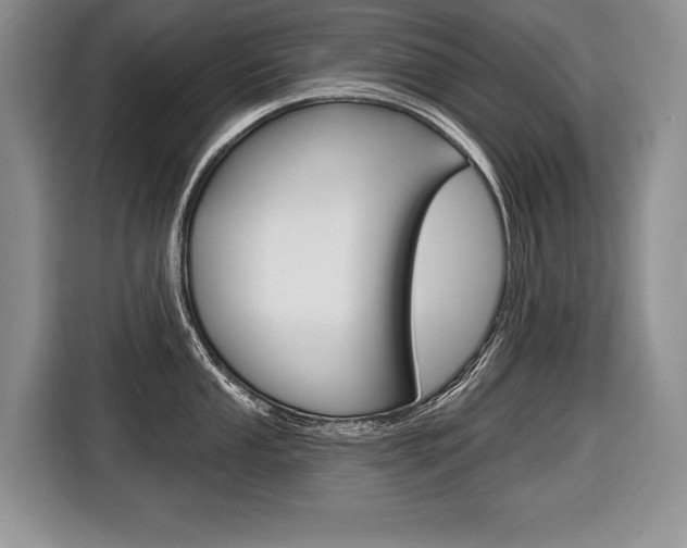 X0000116591053200912101328