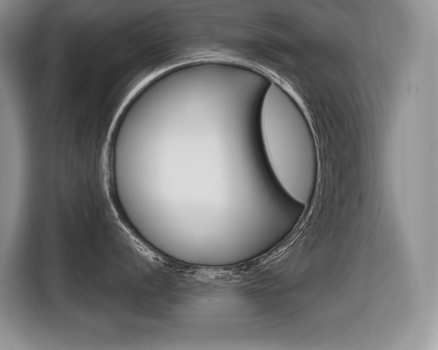 X0000116591056200912101328