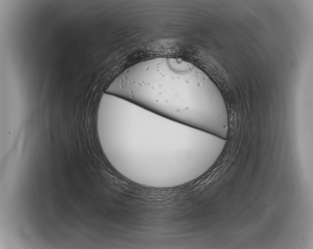 X0000116591058200912101327