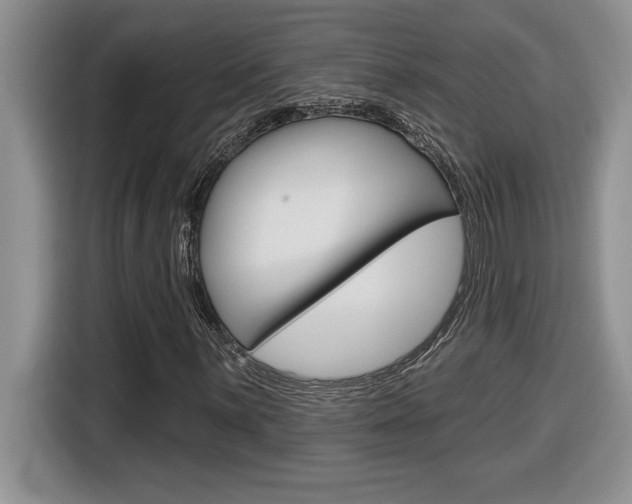 X0000116591059200912101327