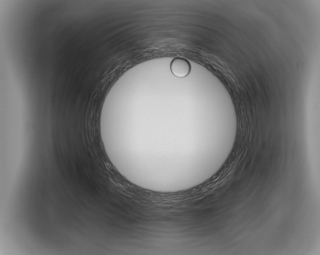 X0000116591060200912101327