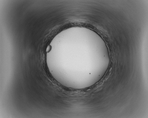 X0000116591061200912101327
