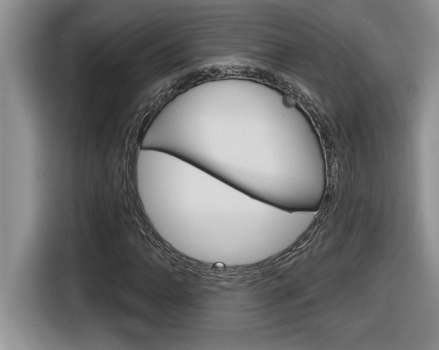 X0000116591062200912101327
