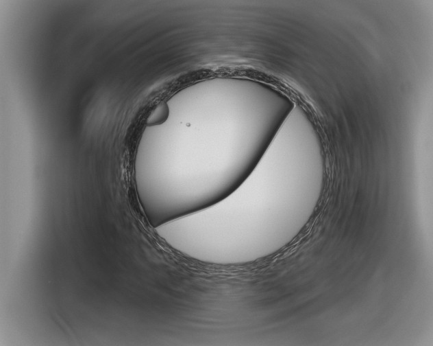 X0000116591063200912101327