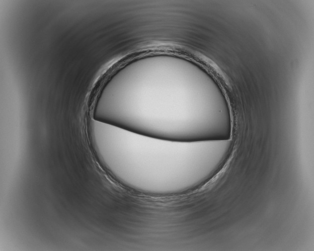 X0000116591066200912101327