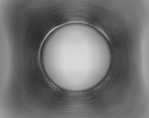 X0000116591068200912101327