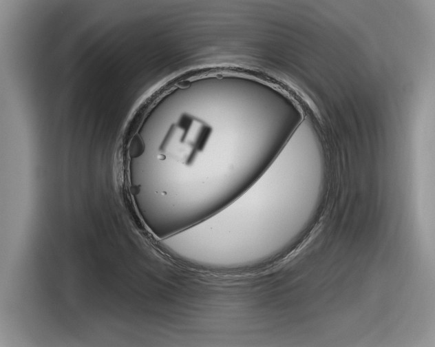 X0000116591069200912101327