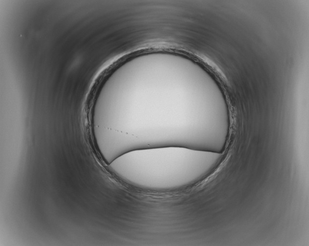X0000116591070200912101327