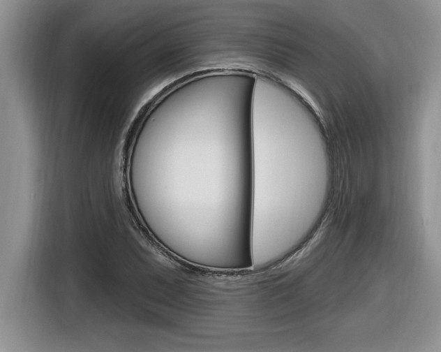 X0000116591071200912101327