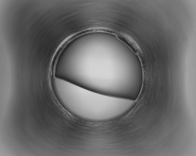 X0000116591076200912101327