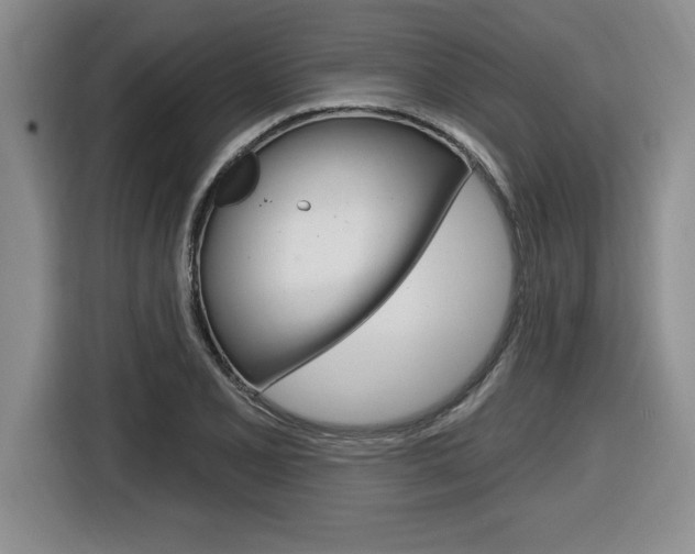 X0000116591077200912101327