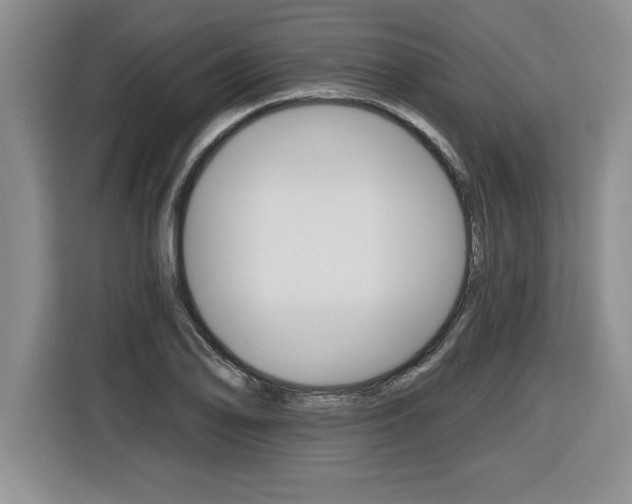 X0000116591078200912101327