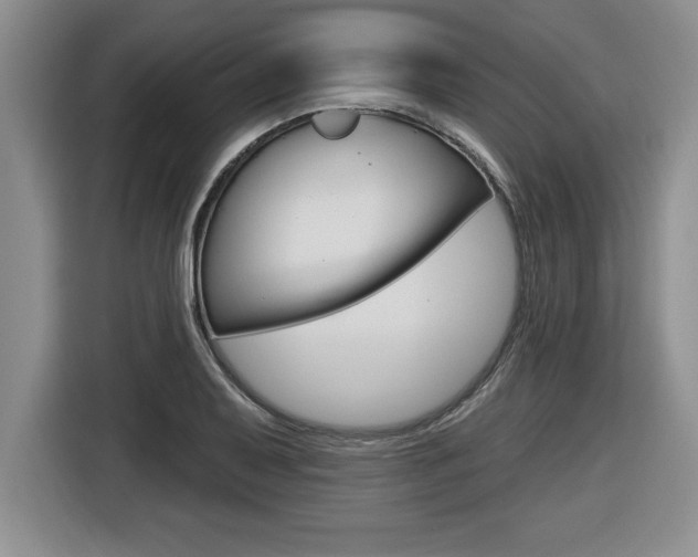 X0000116591079200912101327