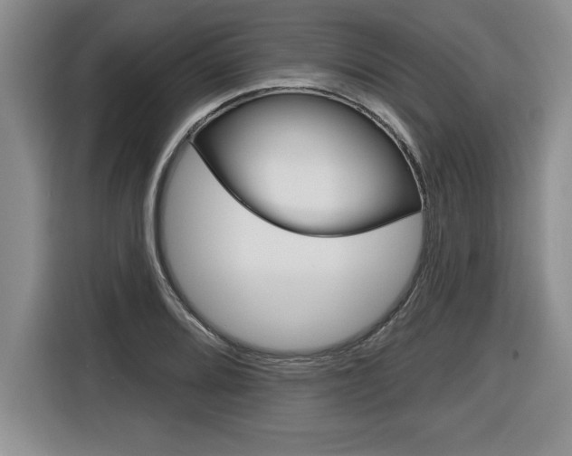 X0000116591080200912101327