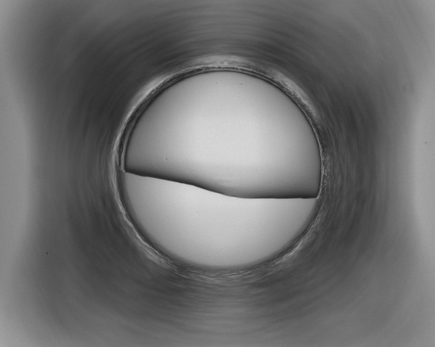 X0000116591082200912101327