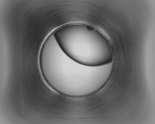X0000116591084200912101327