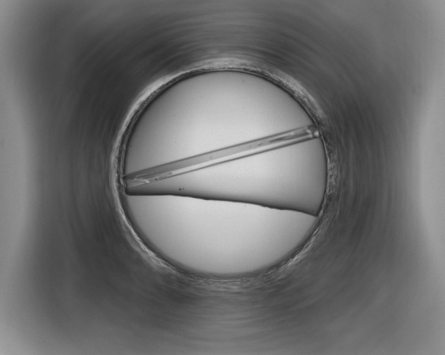 X0000116591086200912101327
