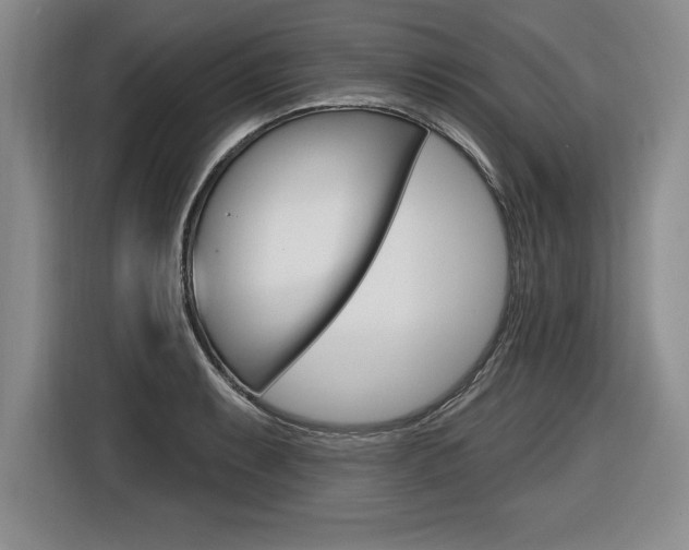 X0000116591087200912101327