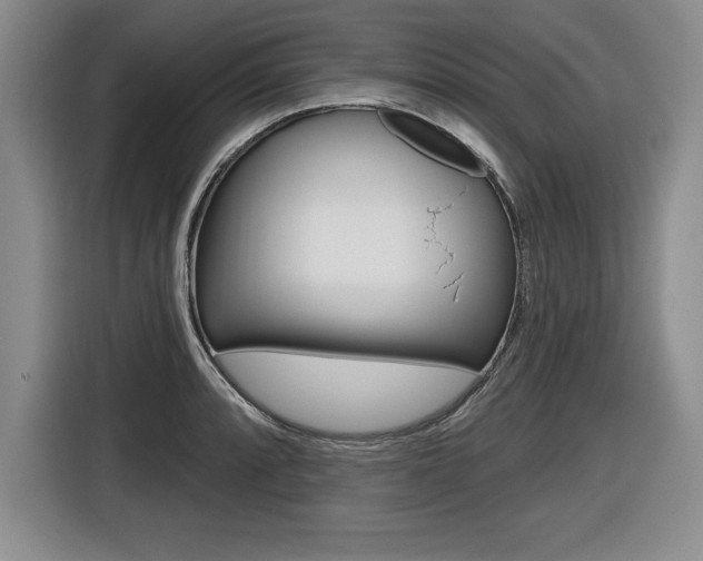 X0000116591088200912101327