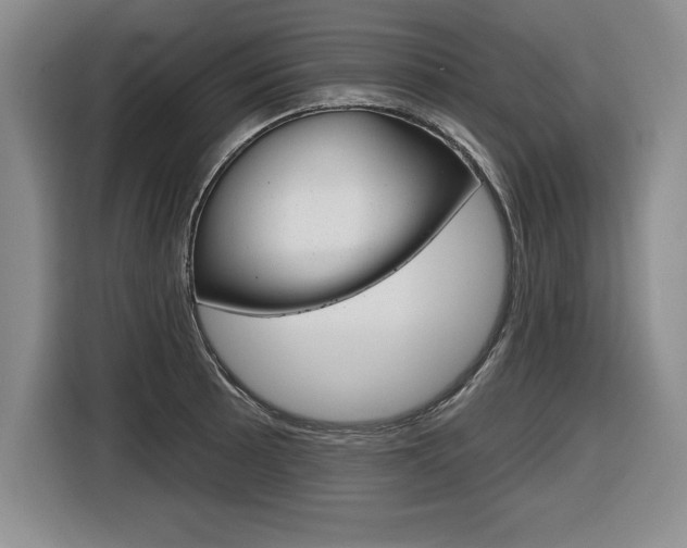 X0000116591089200912101326