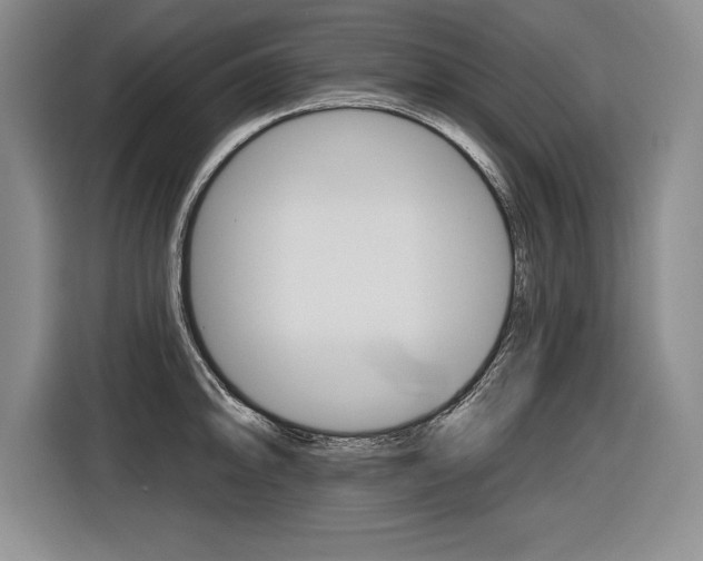 X0000116591094200912101326