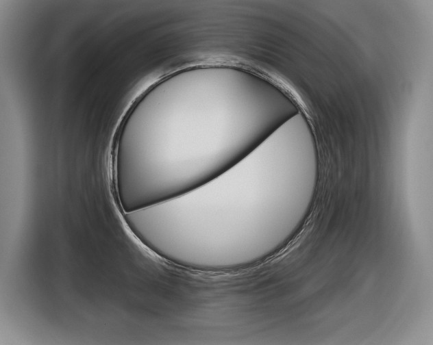 X0000116591095200912101326