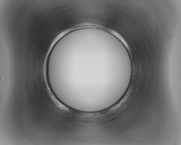 X0000116591098200912101326