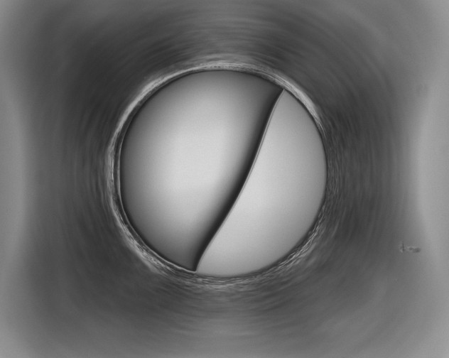 X0000116591099200912101326
