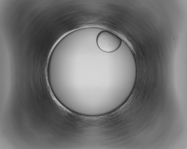 X0000116591100200912101326