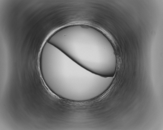 X0000116591102200912101326