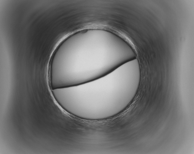 X0000116591103200912101326
