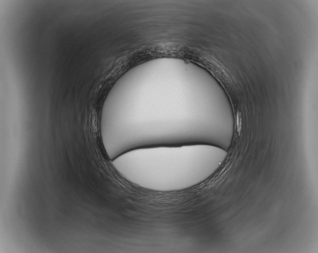 X0000116591107200912101326