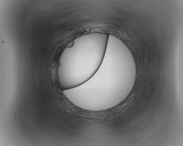 X0000116591109200912101326
