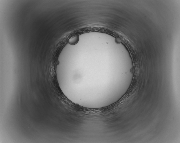 X0000116591110200912101326