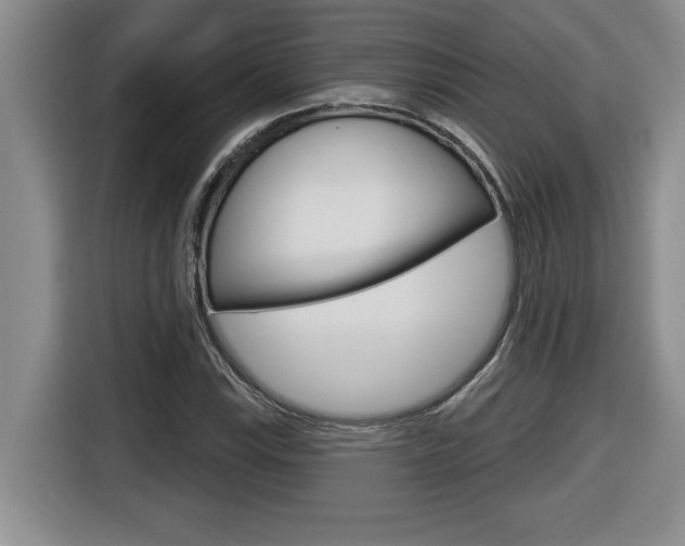 X0000116591115200912101326