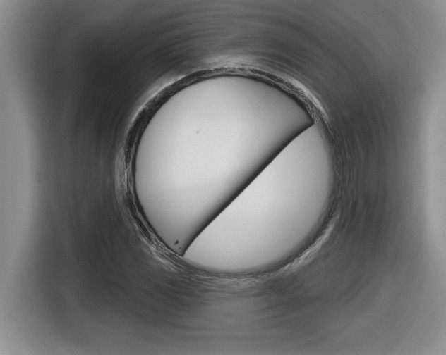 X0000116591117200912101326