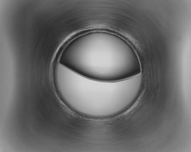 X0000116591118200912101326
