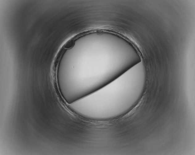 X0000116591119200912101326
