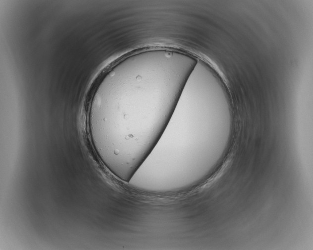 X0000116591125200912101326