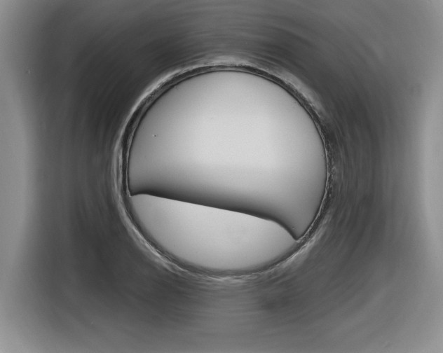 X0000116591126200912101326