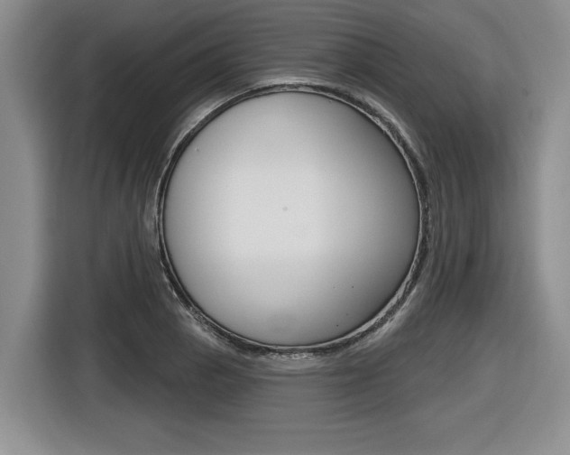 X0000116591129200912101326