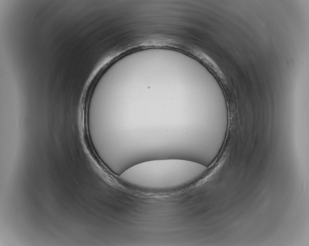 X0000116591130200912101326