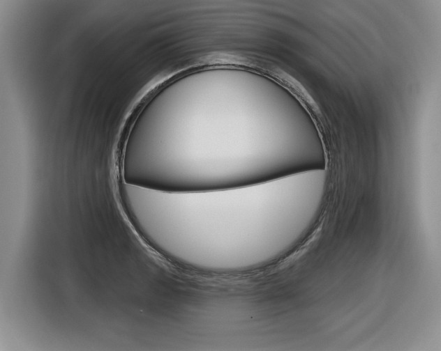 X0000116591133200912101326