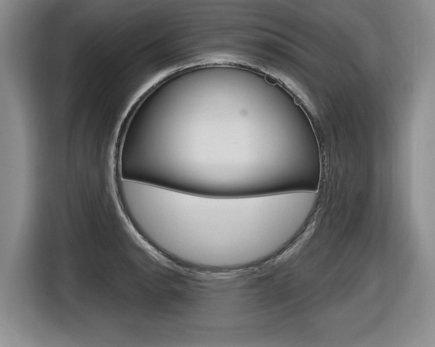 X0000116591134200912101326