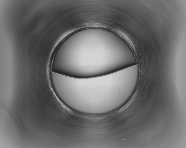 X0000116591141200912101326