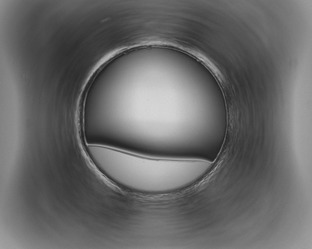X0000116591142200912101326