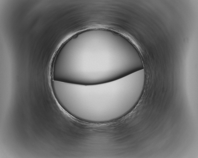X0000116591143200912101326
