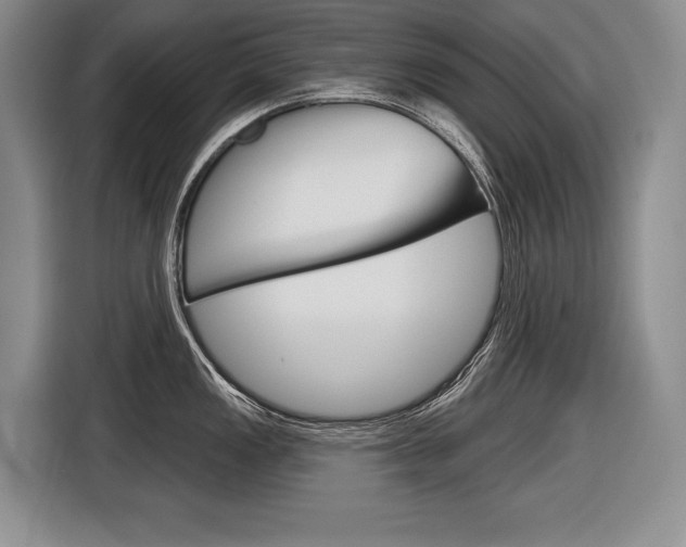 X0000116591149200912101326