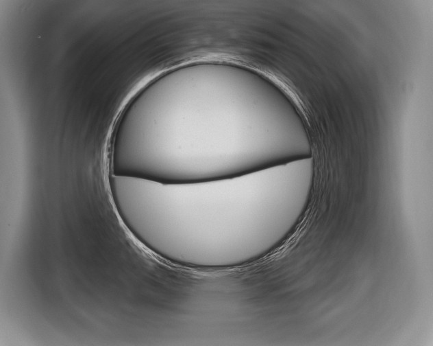 X0000116591151200912101326